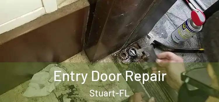  Entry Door Repair Stuart-FL
