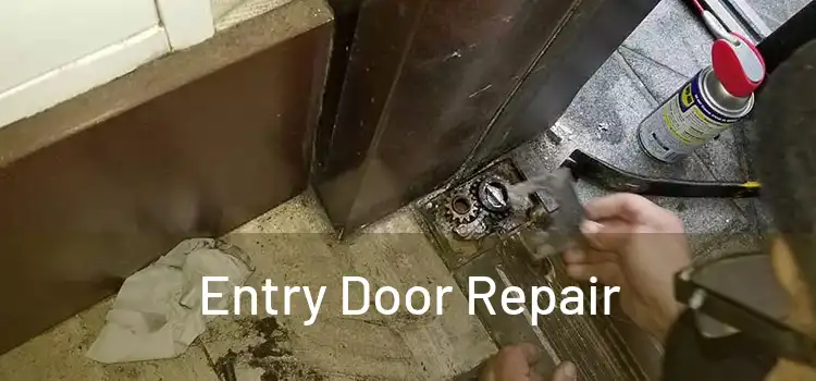 Entry Door Repair