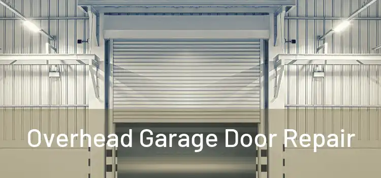  Overhead Garage Door Repair 